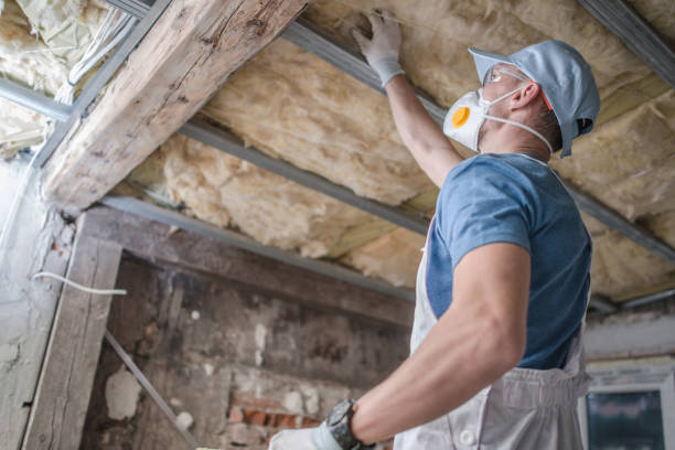 Best Spray Foam Insulation  in Front Royal, VA